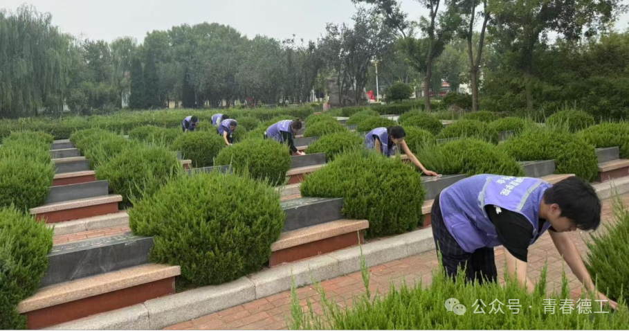 图片11.png